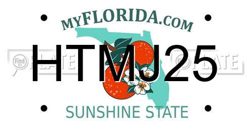 HTMJ25 Florida License Plate