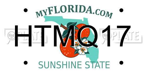 HTMQ17 Florida License Plate