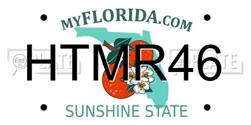 HTMR46 Florida License Plate