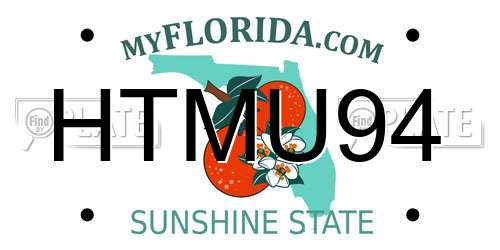 HTMU94 Florida License Plate