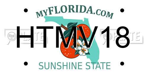 HTMV18 Florida License Plate
