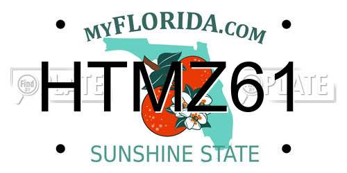 HTMZ61 Florida License Plate