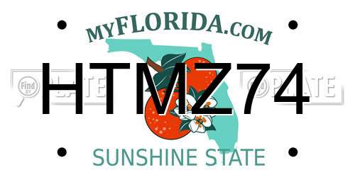 HTMZ74 Florida License Plate