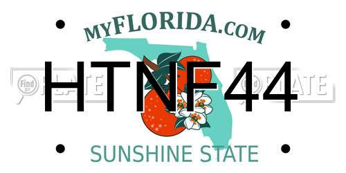 HTNF44 Florida License Plate