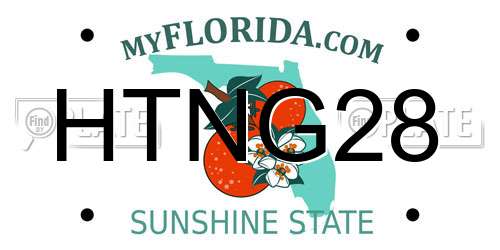 HTNG28 Florida License Plate