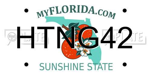 HTNG42 Florida License Plate