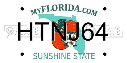 HTNJ64 Florida License Plate
