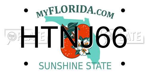 HTNJ66 Florida License Plate