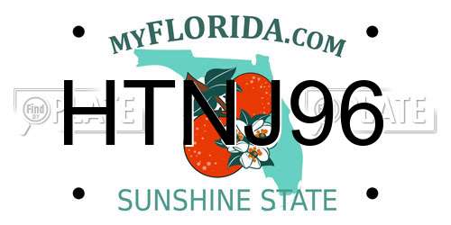 HTNJ96 Florida License Plate