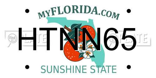 HTNN65 Florida License Plate