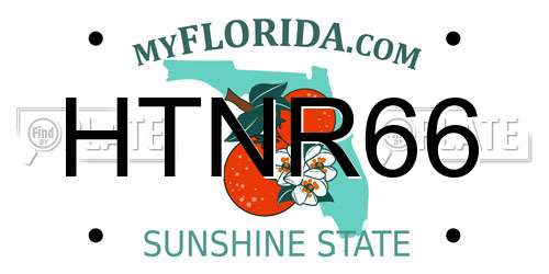 HTNR66 Florida License Plate