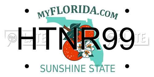HTNR99 Florida License Plate