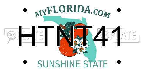 HTNT41 Florida License Plate