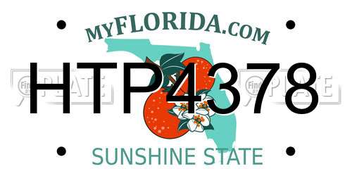 HTP4378 Florida License Plate