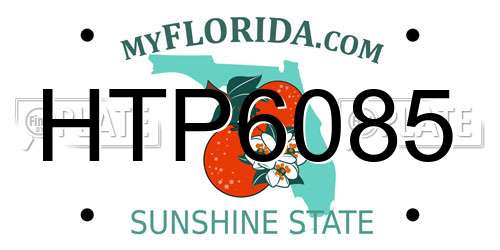 HTP6085 Florida License Plate