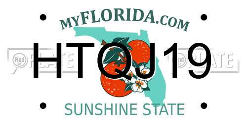 HTQJ19 Florida License Plate