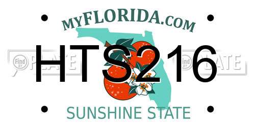 HTS216 Florida License Plate