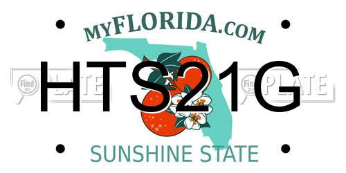 HTS21G Florida License Plate
