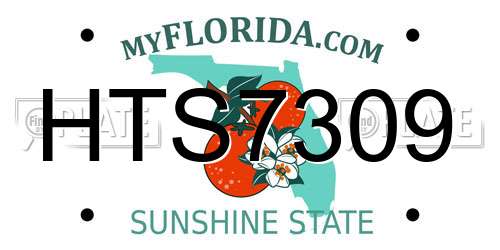 HTS7309 Florida License Plate