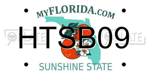 HTSB09 Florida License Plate