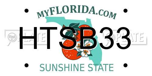 HTSB33 Florida License Plate