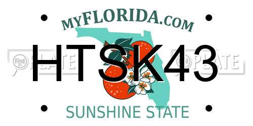 HTSK43 Florida License Plate