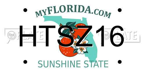 HTSZ16 Florida License Plate