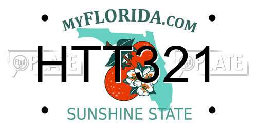 HTT321 Florida License Plate