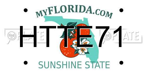 HTTE71 Florida License Plate