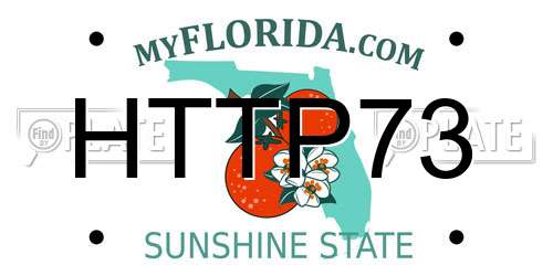 HTTP73 Florida License Plate