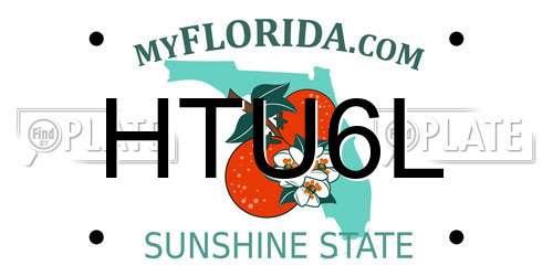 HTU6L Florida License Plate