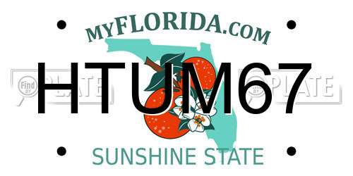 HTUM67 Florida License Plate