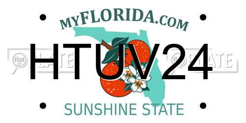 HTUV24 Florida License Plate