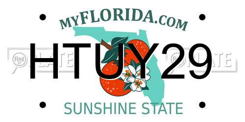 HTUY29 Florida License Plate