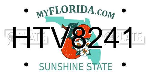 HTV8241 Florida License Plate