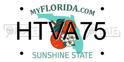 HTVA75 Florida License Plate