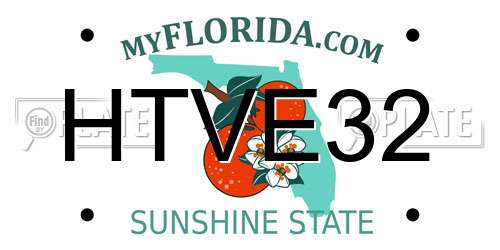 HTVE32 Florida License Plate
