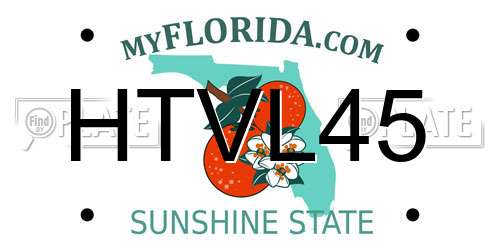 HTVL45 Florida License Plate