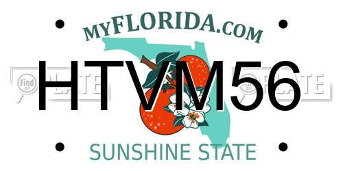 HTVM56 Florida License Plate