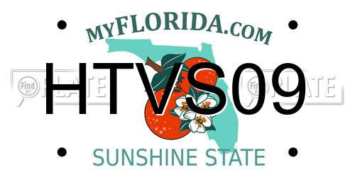 HTVS09 Florida License Plate