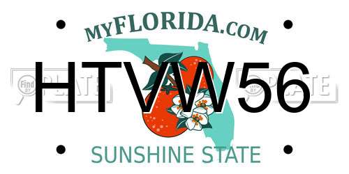 HTVW56 Florida License Plate