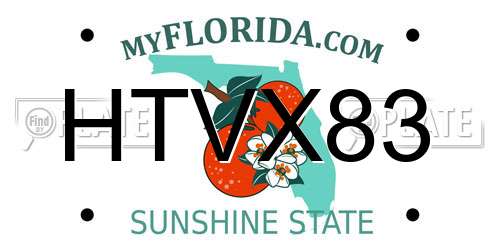 HTVX83 Florida License Plate