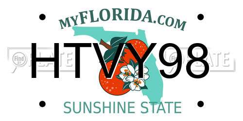 HTVY98 Florida License Plate