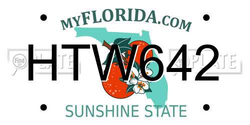 HTW642 Florida License Plate