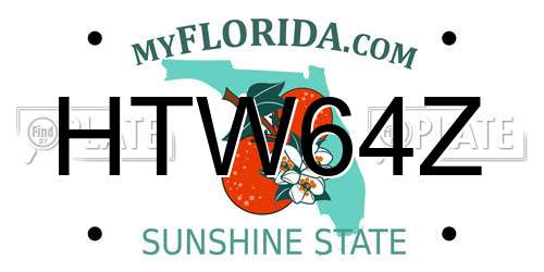 HTW64Z Florida License Plate