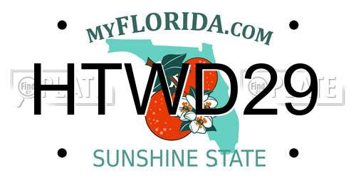 HTWD29 Florida License Plate