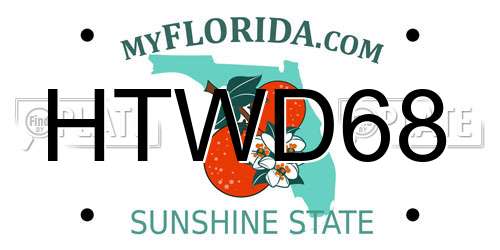 HTWD68 Florida License Plate