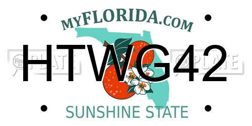 HTWG42 Florida License Plate