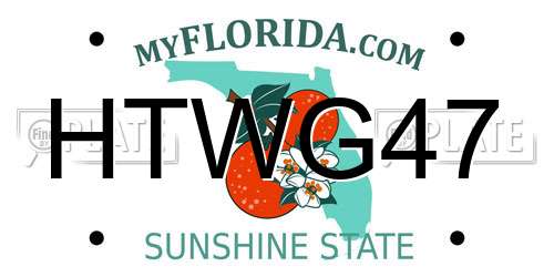 HTWG47 Florida License Plate