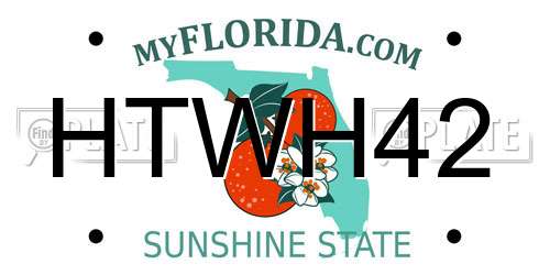 HTWH42 Florida License Plate
